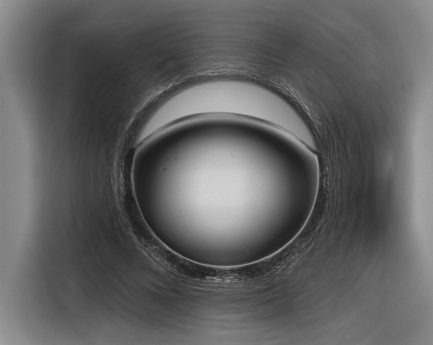 X0000116850688200912221119