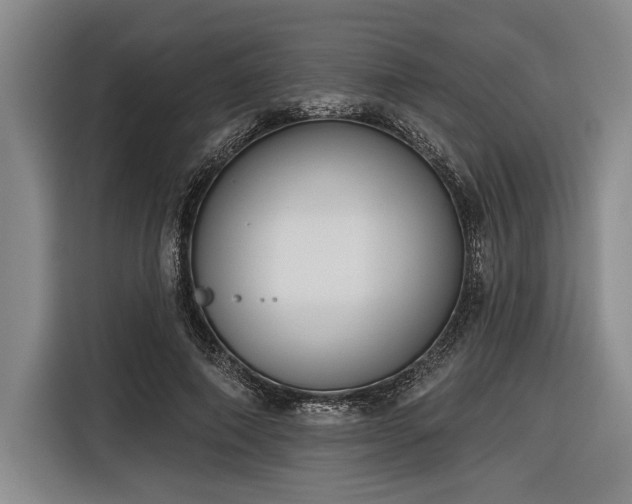 X0000116850690200912221119