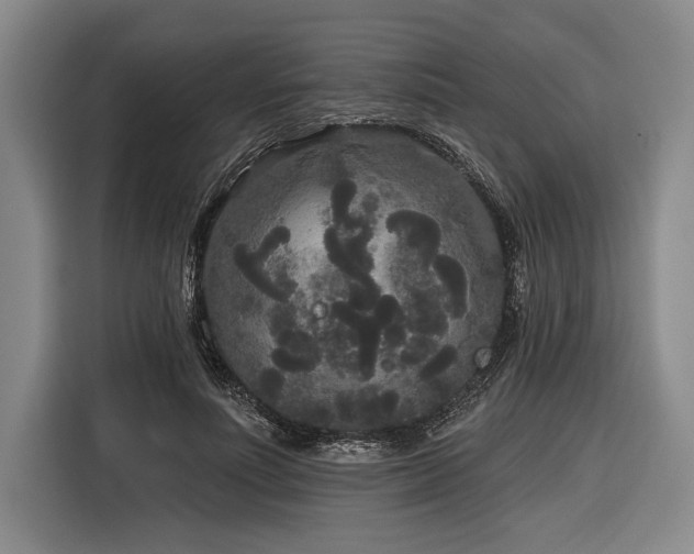 X0000116850691200912221119