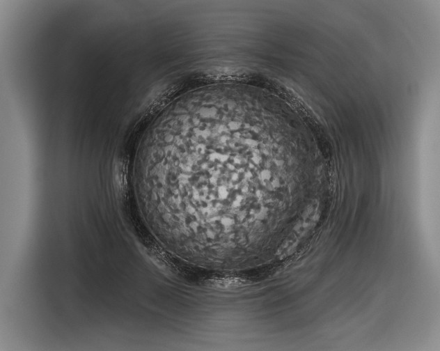 X0000116850695200912221119