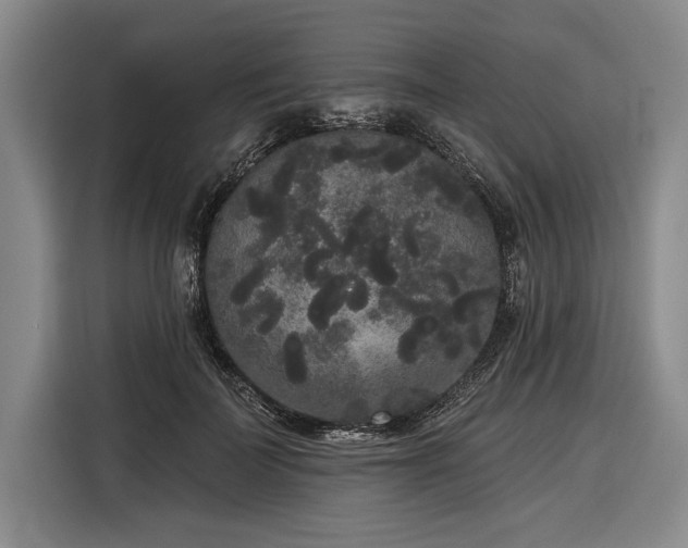 X0000116850699200912221119