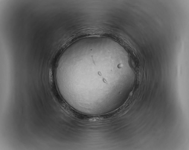 X0000116850700200912221119