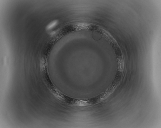 X0000116850701200912221119