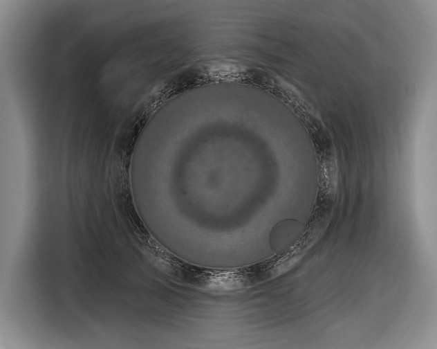 X0000116850705200912221119