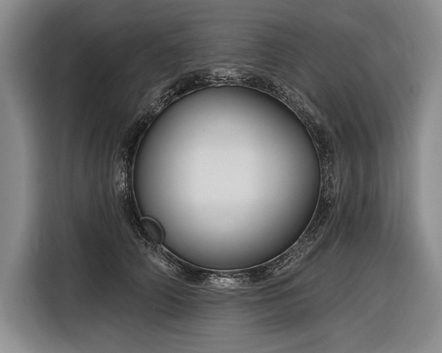 X0000116850706200912221119