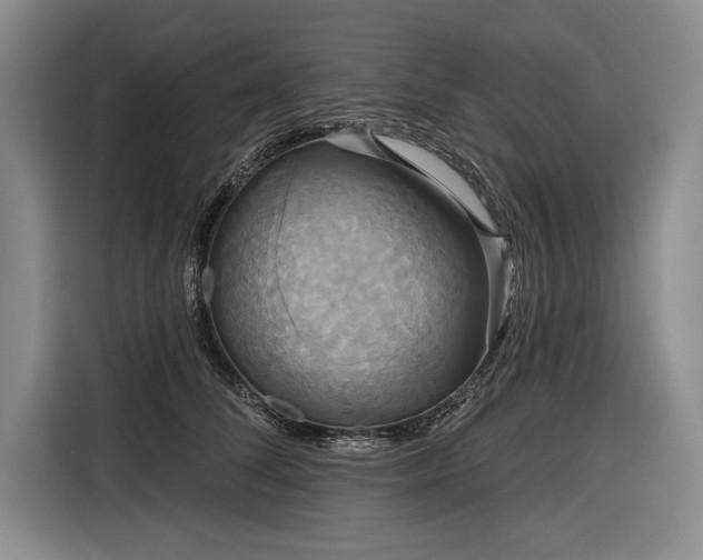 X0000116850708200912221119