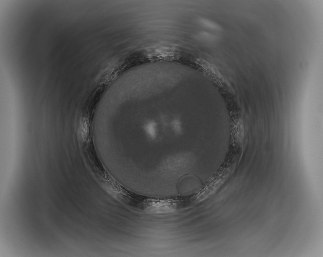 X0000116850709200912221119
