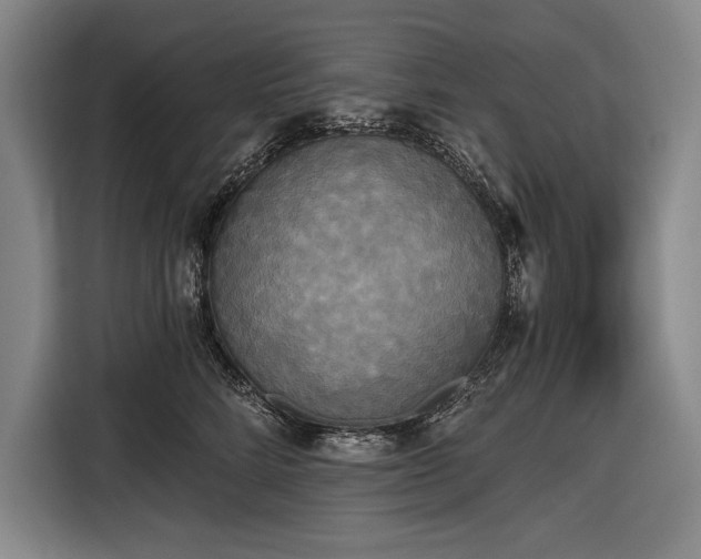 X0000116850712200912221119