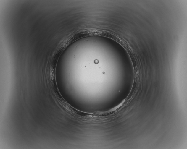 X0000116850713200912221119