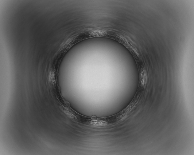 X0000116850714200912221119