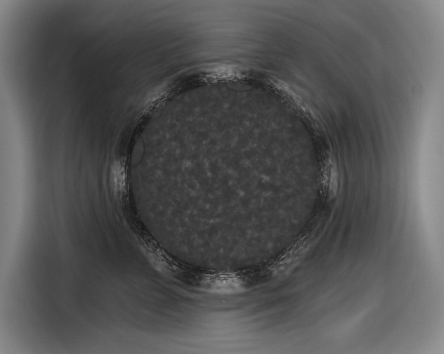 X0000116850715200912221119