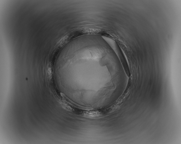 X0000116850716200912221119