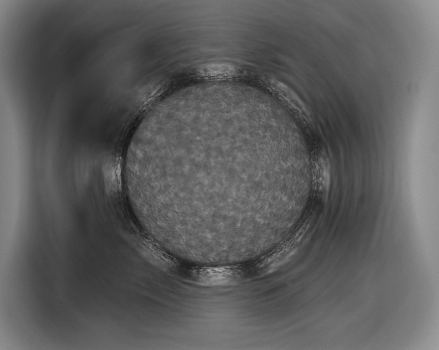 X0000116850717200912221119