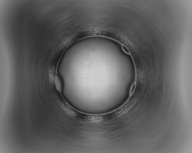 X0000116850719200912221119
