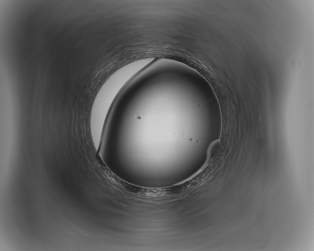 X0000116850720200912221119