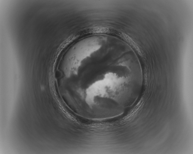 X0000116850721200912221118