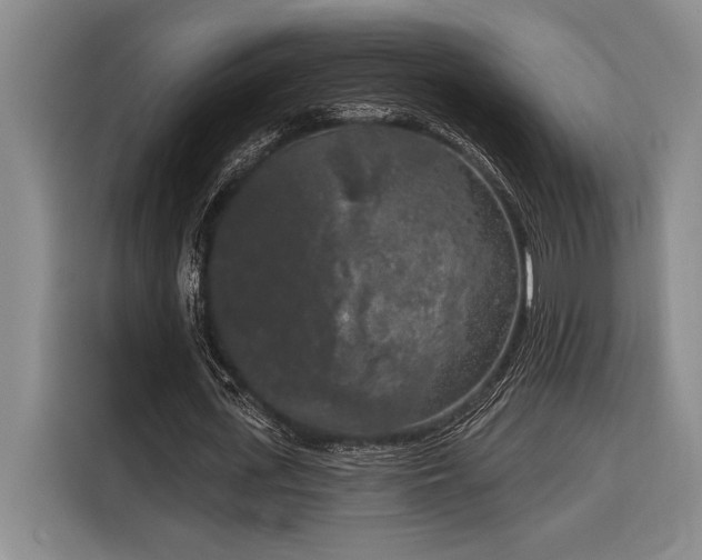 X0000116850723200912221118