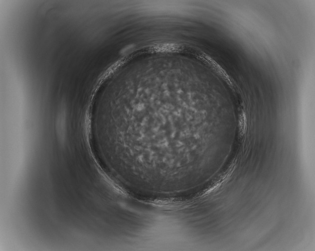 X0000116850725200912221118