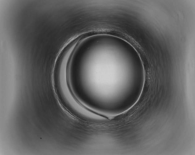 X0000116850726200912221118