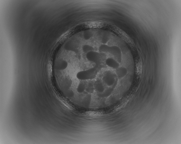 X0000116850733200912221118