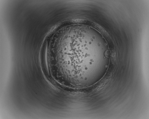 X0000116850734200912221118