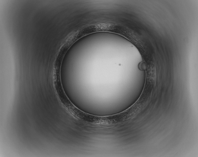 X0000116850738200912221118