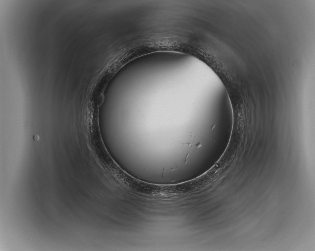 X0000116850739200912221118