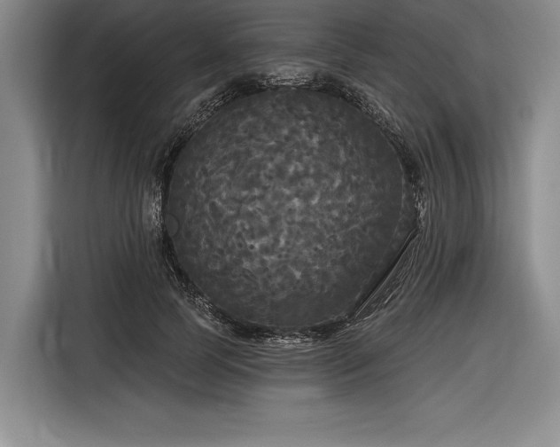 X0000116850745200912221118