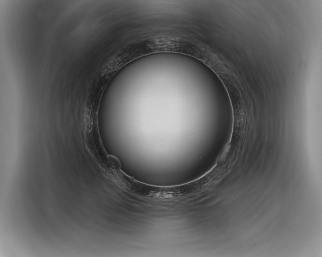 X0000116850751200912221118