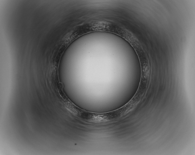 X0000116850753200912221118