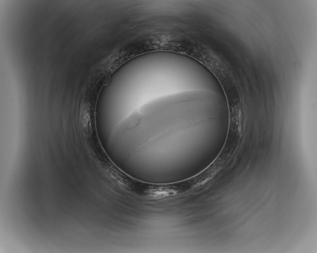 X0000116850754200912221118