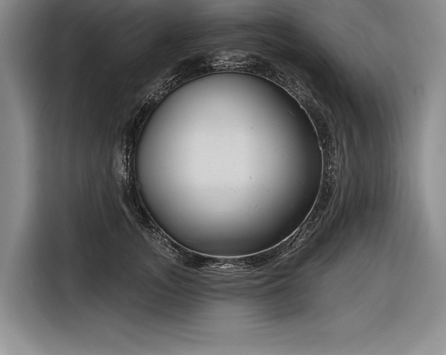 X0000116850755200912221118