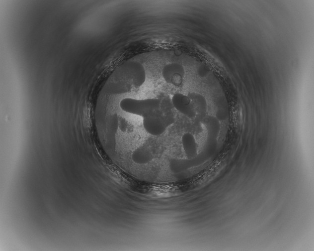 X0000116850757200912221118