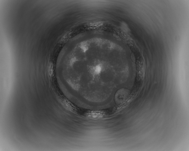 X0000116850758200912221118