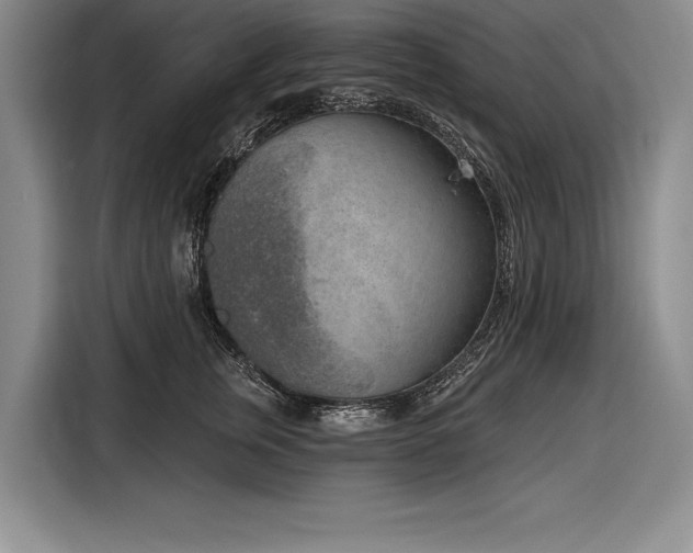 X0000116850759200912221118