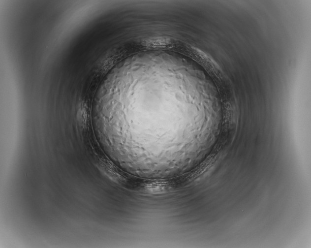 X0000116850761200912221118