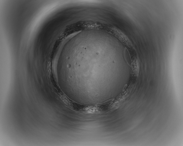 X0000116850762200912221119