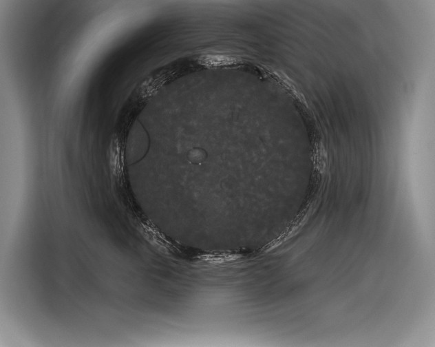X0000116850763200912221119
