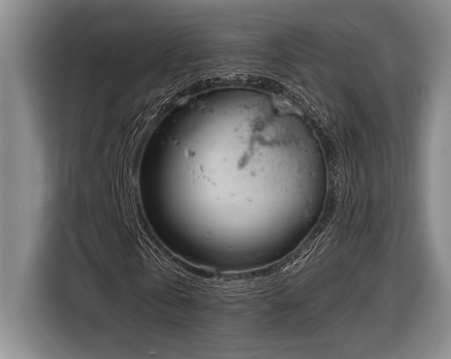 X0000116850769200912221118
