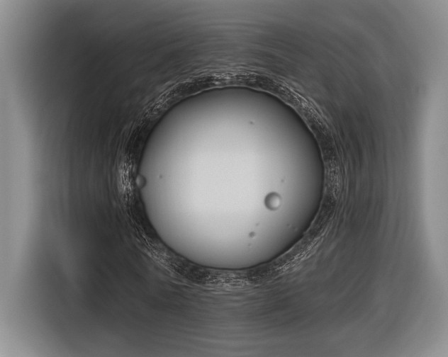 X0000116850770200912221118