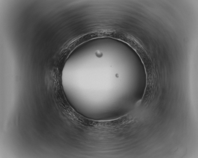 X0000116850773200912221118