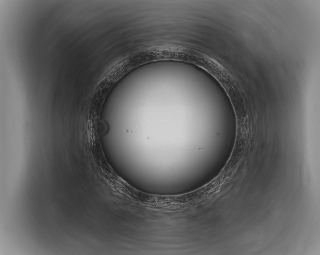 X0000116850774200912221118
