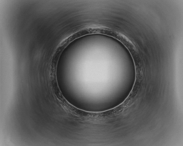 X0000116850775200912221118