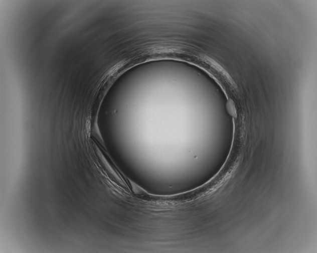 X0000116850777200912221118