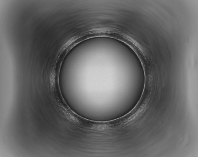 X0000116850778200912221118