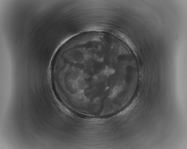 X0000116850779200912221118
