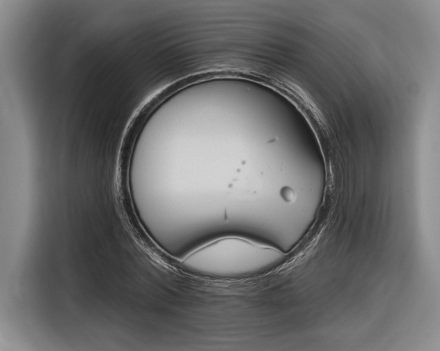 X0000116850780200912221118