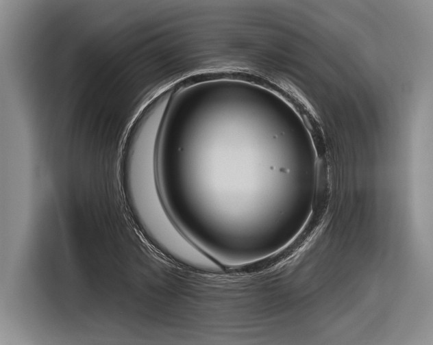 X0000116850781200912221118