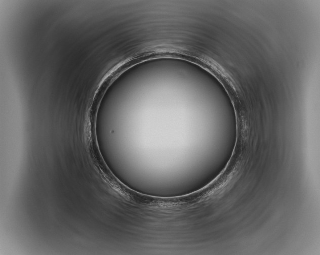 X0000116850782200912221118
