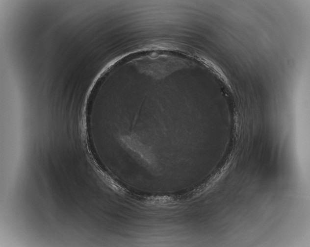 X0000116850784200912221118